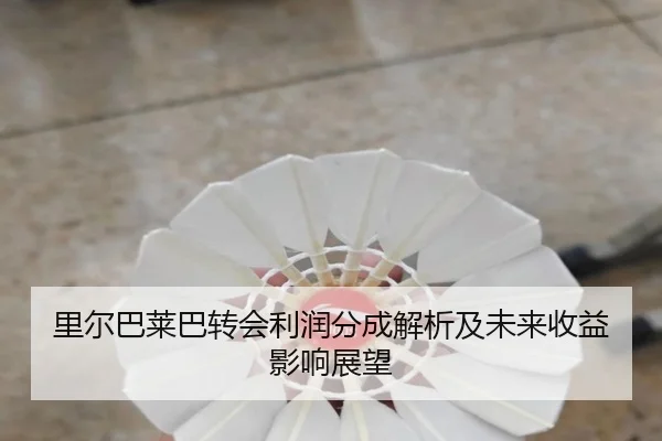 里尔巴莱巴转会利润分成解析及未来收益影响展望